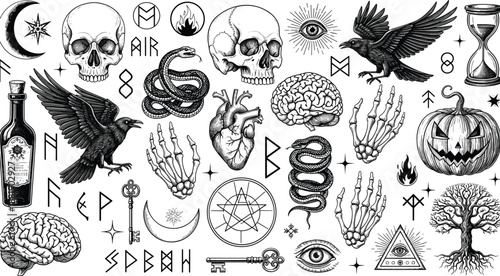 Hand-drawn gothic collage of anatomical, mystical, and symbolic elements including skulls, ravens, moon, and esoteric icons