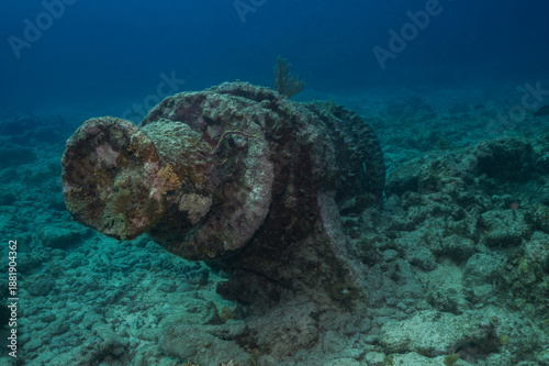 Historic navigation buoy resting on Key Largo seabed