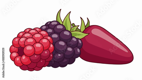 Three juicy berries in bright red and dark purple colors