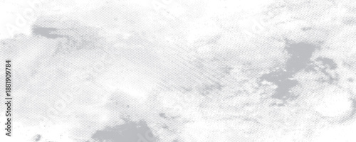 Shibori Print. Watercolor Pattern Drawing. Ink Fluid. Ink Textured Shibori Style. Tribal Abstract Dirty Art. Vintage Abstract Template. White, Grey Shibori Print.