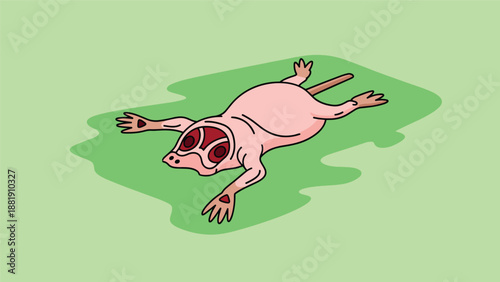 Unusual hairless pink creature with a snout and wide eyes lying flat on a green surface as a bizarre cartoon character.