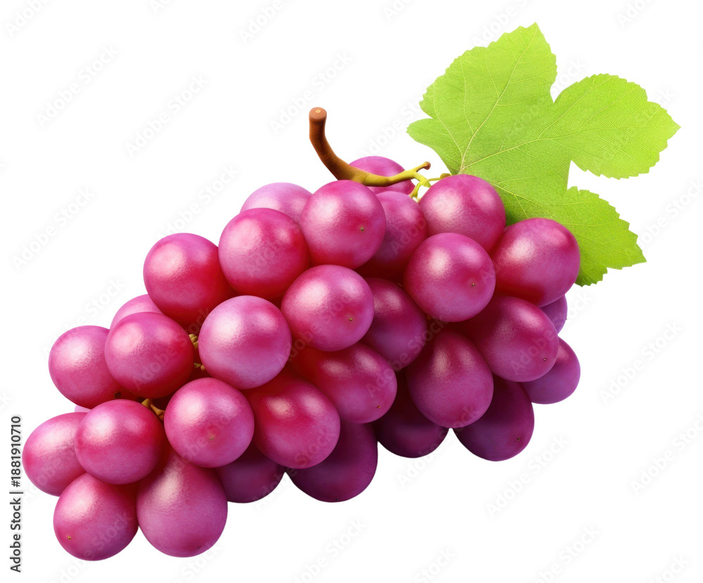 Obraz premium PNG Grapes food fruit plant.