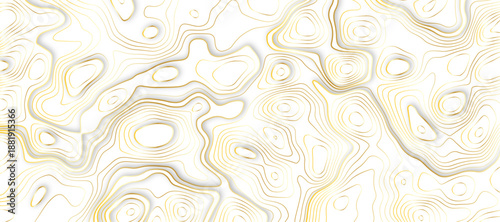 Topographic map and landscape terrain texture grid, Abstract minimal The patter discovery vector Background of the topographic map. Mountain trail terrain or path. Vector illustration.