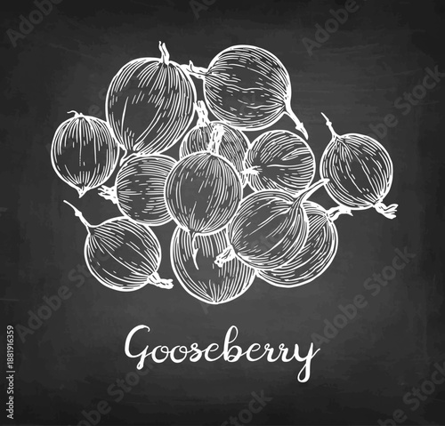 Handful of gooseberries chalk sketch.