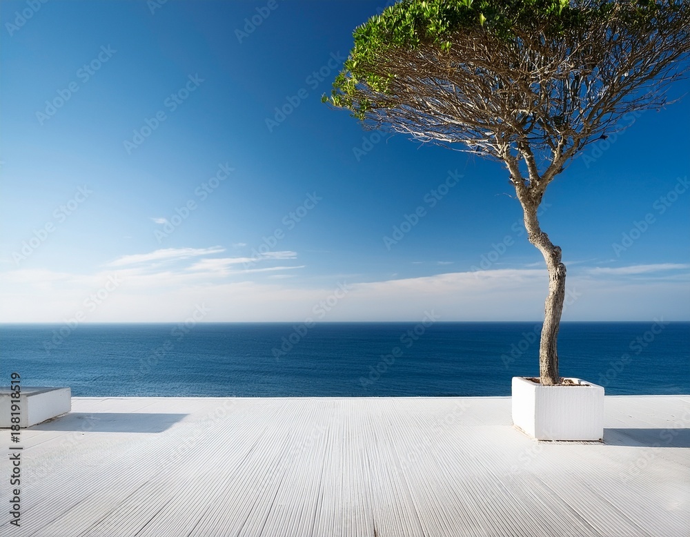 Obraz premium minimalist white patio with a single tree ocean view