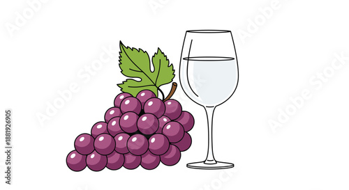 Bunch of purple grapes with a green leaf paired with a glass of white wine in a clean line art illustration on a white background.
