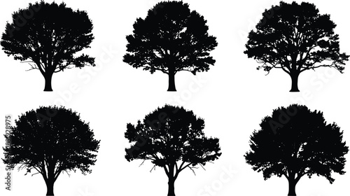 Six black silhouette trees on white background nature