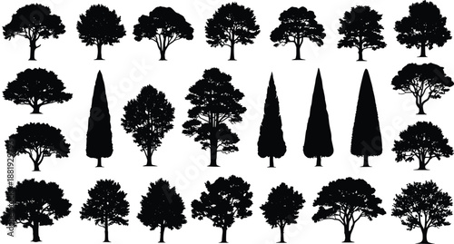 Collection of black silhouette trees on white background nature