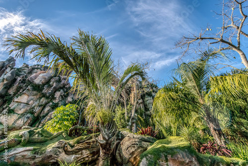 Wallpaper Mural A lush green jungle with a large tree in the foreground. The sky is clear and blue, and the sun is shining brightly Torontodigital.ca