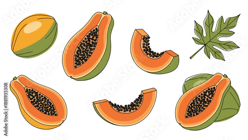 Vibrant collection of papaya illustrations featuring whole fruits, halved sections with black seeds, slices, and a characteristic green leaf.