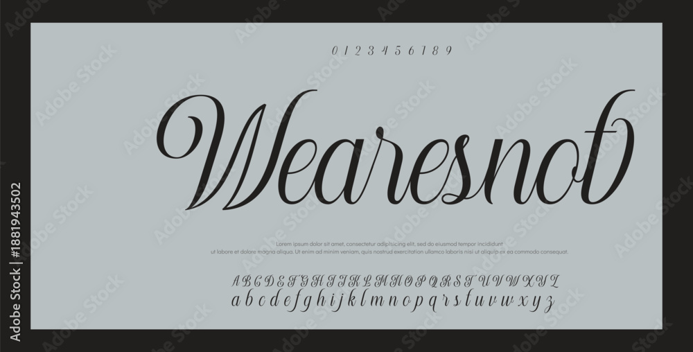 Fototapeta premium Script Elegant Signature Typeface. Lettering signature font isolated on grey background. brus style alphabet. Vector logo letters.