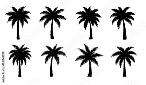 Minimal black palm tree silhouettes hand drawn vector illustration set