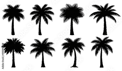 Hand drawn palm tree black silhouette vector set isolated on white