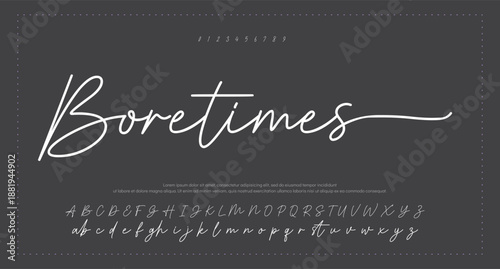 signature Font Calligraphy Logotype Script Brush Font Type Font lettering handwritten. vector illustration  