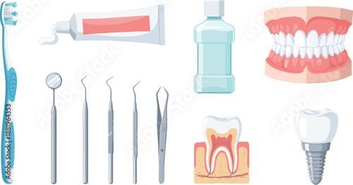 Complete Dental Care Illustration Set Featuring Toothbrush, Toothpaste, Mouthwash, Dental Tools, Tooth Anatomy, Dentures, and Implant Models