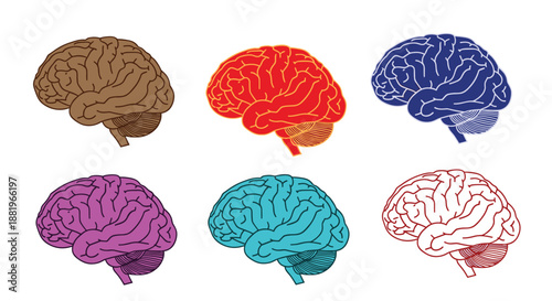 Set of six human brains illustrated in different vibrant colors representing mental health, neuroscience, or cognitive diversity.
