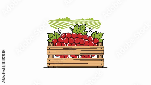 Wooden crate overflowing with ripe red grapes, set against a vineyard landscape