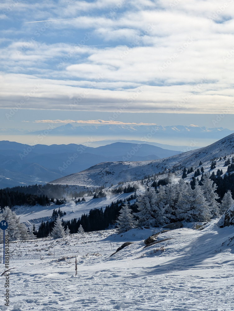 Fototapeta premium Wide winter mountain panorama with layered ridges and snowy forest in Kopaonik. Scenic depth, natural scale, and peaceful travel mood through expansive alpine terrain and clear atmosphere.