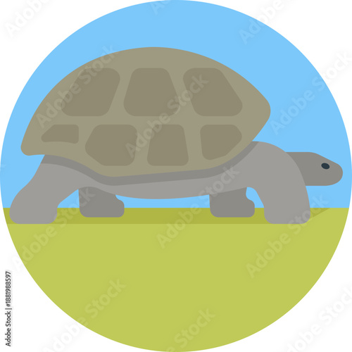 A simple turtle icon inspired by Ecuador’s Galápagos Islands, representing wildlife and natural heritage.