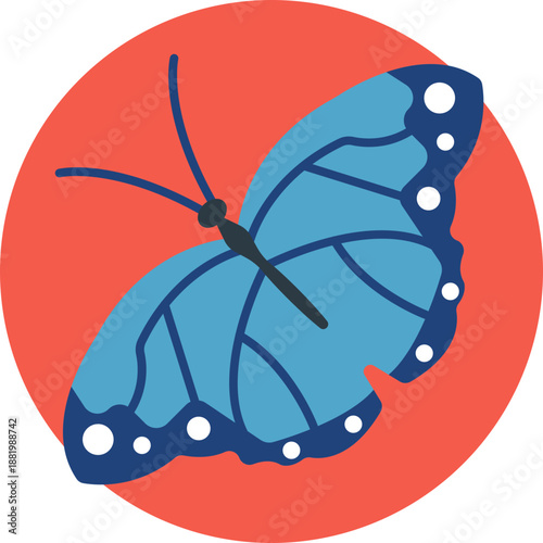 A delicate butterfly representing Ecuador’s rich biodiversity and vibrant rainforest ecosystems.