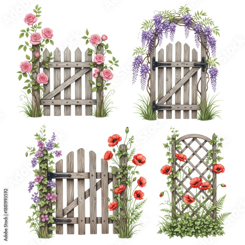 photorealistic studio photography of four isolated watercolor illustrations featuring rustic wooden fences, gates, and trellis, covered in pink roses and purple wisteria on white, concept of charming