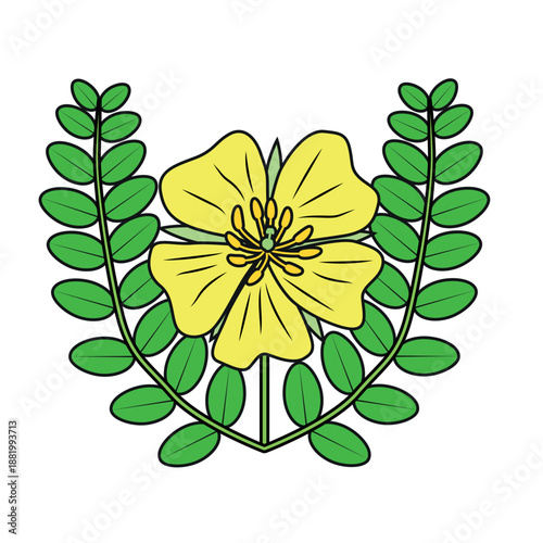 Tribulus terrestris medicinal plant illustration