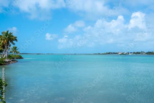 Фотография A beautiful blue ocean with palm trees in the background