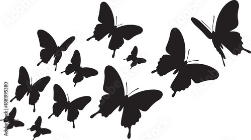 flock of butterflies. silhouette vector illustration with white background.