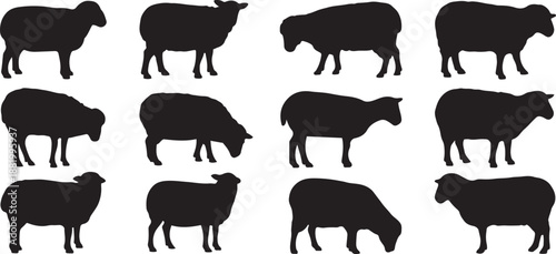 set of silhouettes of sheep silhouette vector illustration with white background.