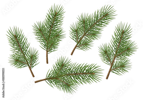 Several green pine needles on a black background