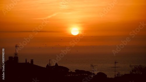 Panoramic banner of birds flying at sunset over the ocean with city silhouettes