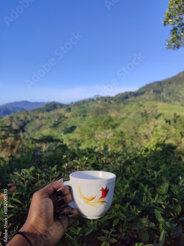 Hand holding tea cup against lush green tea plantation and blue sky