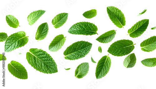 Mint Leaves' Cascade: Fresh, vibrant mint leaves, showcasing nature's purity, appear to dance in the air, capturing a sense of refreshing simplicity.
