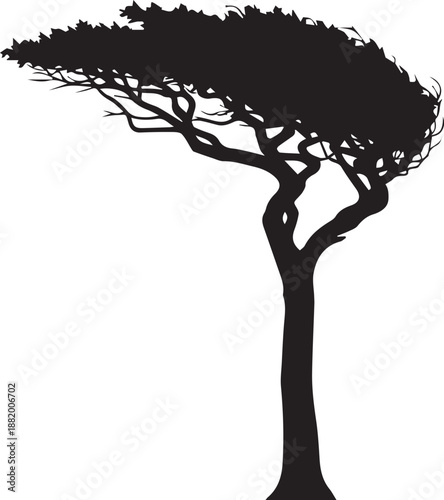 Silhouette illustration of acacia type tree with wide spreading canopy typical for savanna
