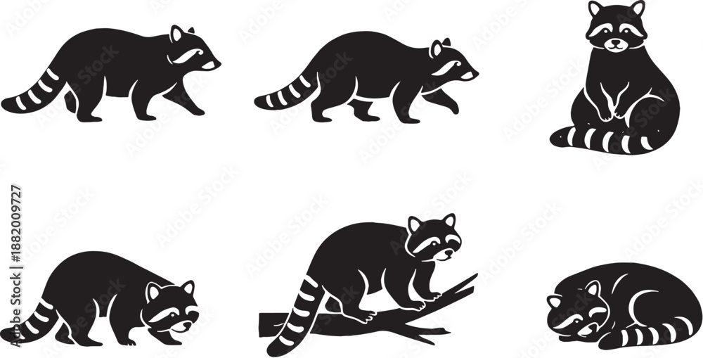 Fototapeta premium Raccoon Silhouette Pose Set