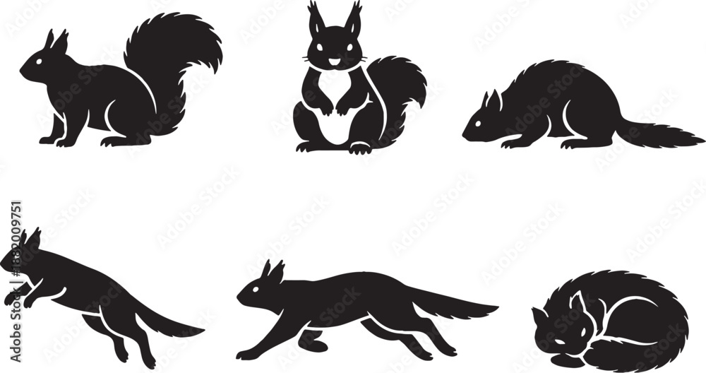 Obraz premium Red Squirrel Silhouette Pose Set