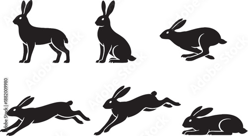 European Hare Long Leg Runner Silhouette