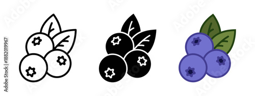 Blueberry icon set in various styles organic fruit antioxidant rich superfood fresh produce healthy eating ingredient berry harvest sweet flavor