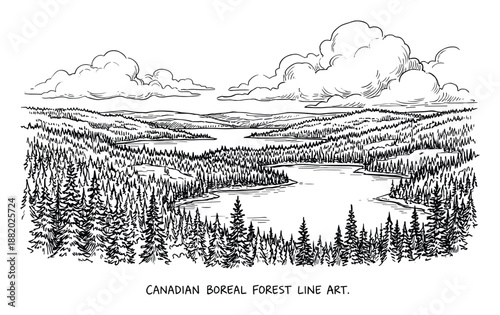 Detailed line art illustration of a Canadian boreal forest landscape featuring lakes and clouds.