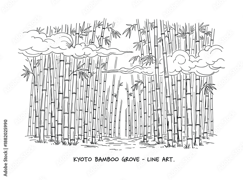 Obraz premium Detailed line art illustration of Kyoto bamboo grove with towering bamboo trees and stylized clouds above.