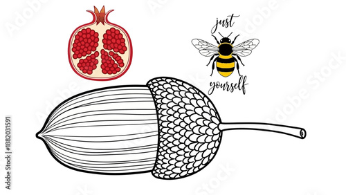 An acorn and pomegranate illustration with a bee flying nearby, showcasing nature's elements in a simple line art style