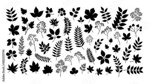 Collection of various black silhouettes of plants and flowers arranged in a visually appealing composition