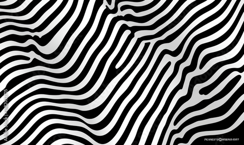 Abstract zebra-like pattern with black and white wavy lines