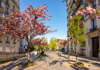 Papier peint photo Paris Cerisiers en fleurs à Montmartre printemps  © Mistervlad