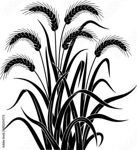 Black and White Illustration of Wheat.