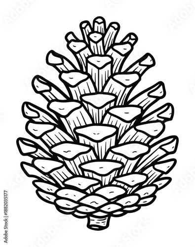 Monochrome illustration of pine cone. Black line drawing of a fir cone. Natural forest botanical symbol.