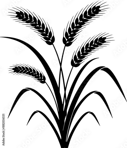 Wheat Plant Silhouette with Ears.