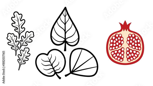 Various botanical elements including leaves and fruit illustrated in different styles