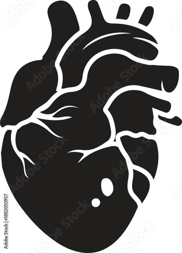 Human heart anatomically correct hand drawn line art and dotwork. Flash tattoo or print design vector illustration.