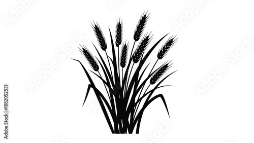 a detailed black and white silhouette illustration of a bunch of wheat stalks